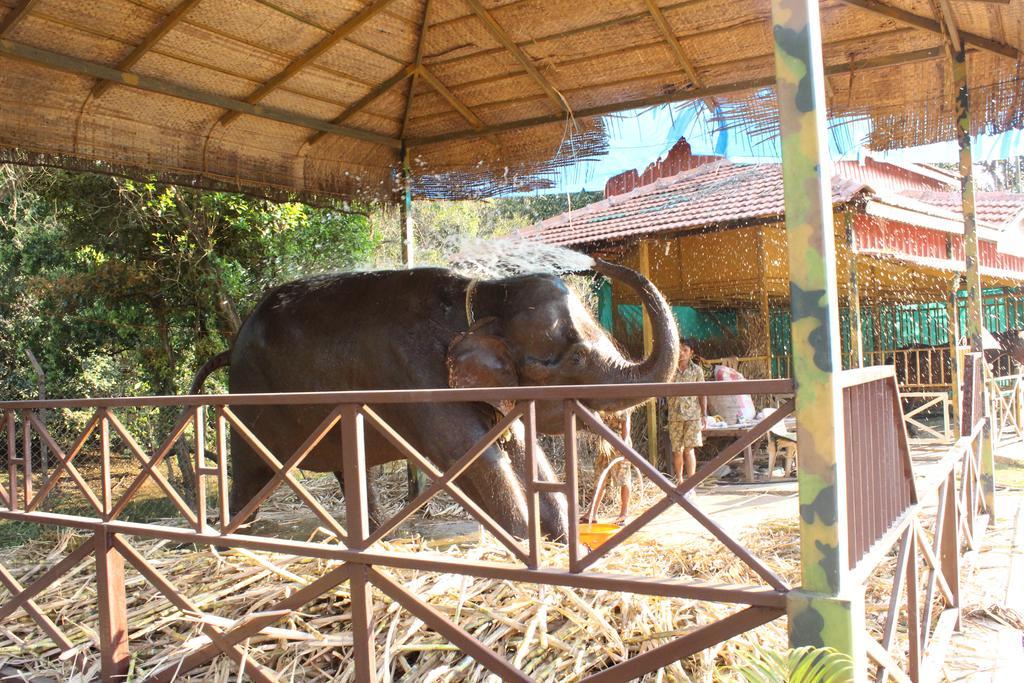Shangri La Jungle Village Molem Buitenkant foto